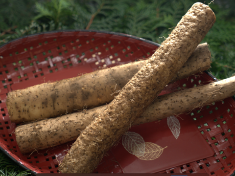 【冬ギフト】とろっとろ　大分県産 自然薯　「ねばりごし一本」（カット９００ｇ）