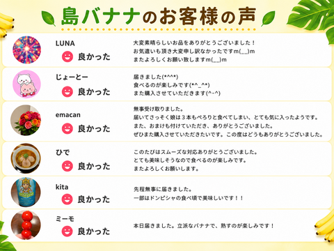 石垣島直送！「島バナナ」栽培期間中農薬不使用 1kg