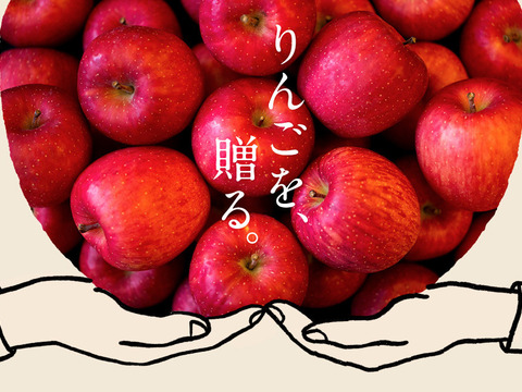 NO.1人気品種【サンふじ】ギフト/贈答用3kg(7~12玉) りんごの名産地青森広船より