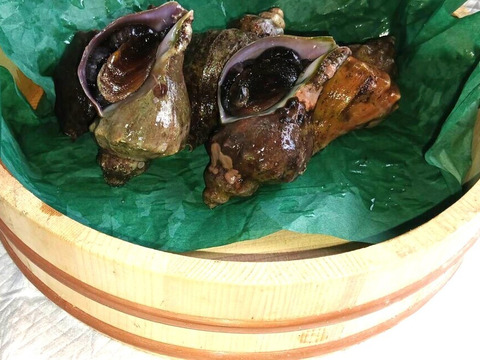 活青ツブ　約3kg（15～24個）