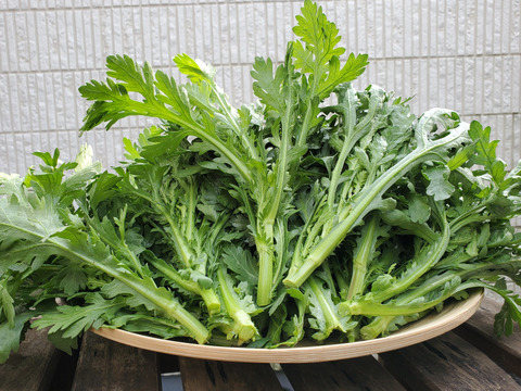 寒い日はお鍋!生食でも食べられる中葉春菊(1kg)農薬不使用