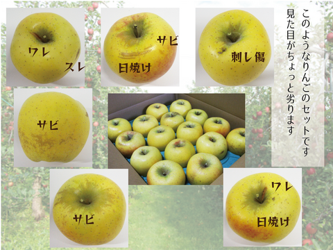 信州安曇野産“もったいない”シナノゴールド☆【家庭用（10kg☆20