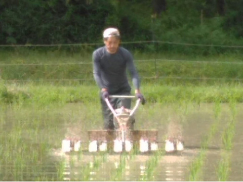 農薬不使用　米粉　2.7kg【900g✕3個】 ＋【玄米餅】約800g【20個前後】