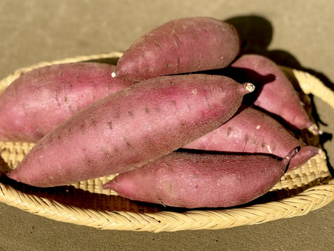 ホクホクむっちり「栗かぐや」色々なサイズ入り 5キロ箱