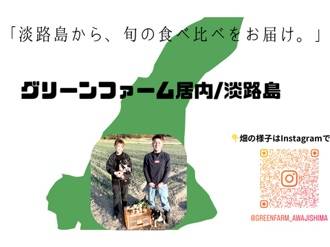 【淡路島から直送】「淡路島の新玉ねぎ」食べ比べセット（七宝・ボルト）3kg（サイズ混合）