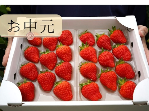 【夏ギフト】【お中元】　香りが広がるジューシーいちご ≪あまひめ≫ 朝どれ産地直送！信州産