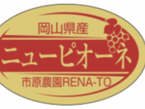 岡山県産✨ニューピオーネ🍇2kg（3房〜4房入）🎶家庭用