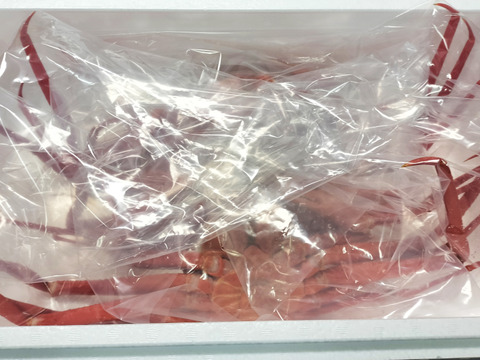 【山陰冬の名物】超お買い得！紅ズワイガニ　3杯