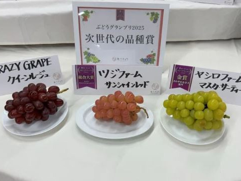 【金賞受賞】上品な甘さと芳醇な香り！クイーンルージュ 4房（1房500〜600g前後） ※ただいま「土づくり1年目」 特別価格にてご提供