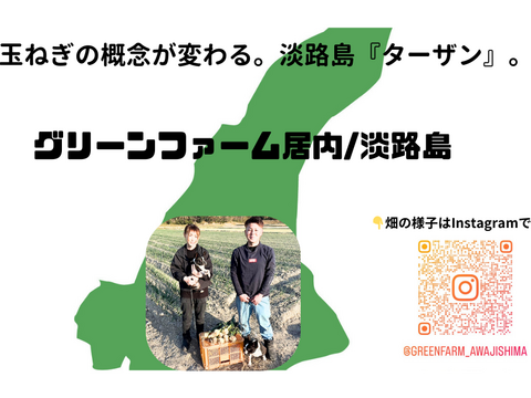 【訳あり玉ねぎ】不揃いだけど味は一級品！淡路島が誇る濃厚な旨味をご家庭で　５kg（サイズ混合）