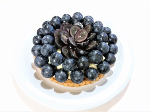 信州上田産　皮ごと食べられる！　ナガノパープル　1.5〜1.8キロ　加工用（小さい実やバラ房など）　ケーキの素材やスムージーの素材にいかがですか！