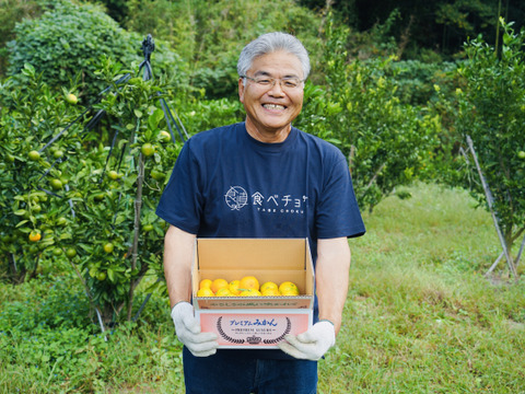 【期間限定・極早生みかん食べ比べ】『ゆら早生』・『豊福』5kg