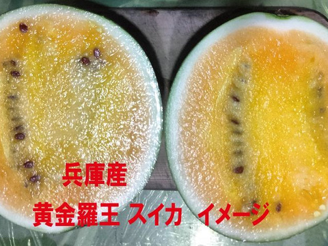 兵庫産 黄金羅王　TVで大人気　中玉スイカ1玉　ご家庭用③