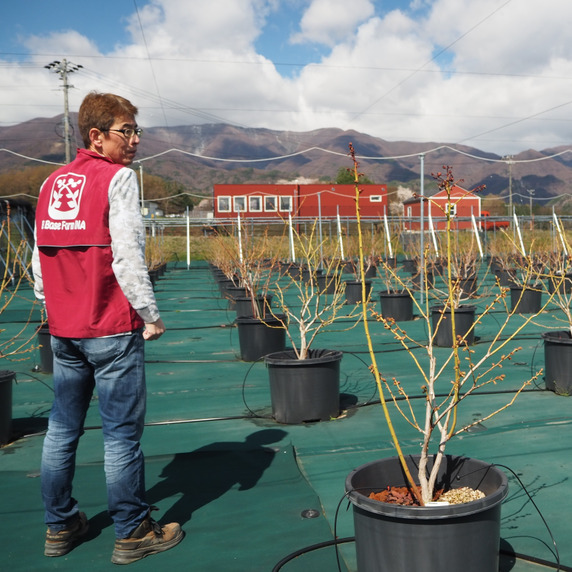 B Base Farm 伊那（ビーベースファーム伊那）