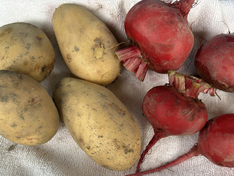 ビーツとジャガイモの赤いポテサラセット