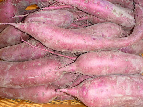 冬の楽しみ＊甘～い！紅はるか3kg～農薬/化学肥料・不使用