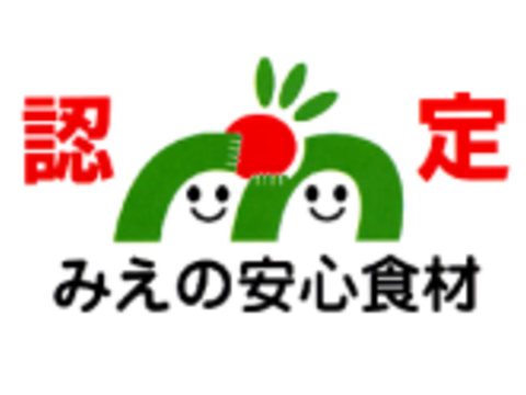 コクのある味わい！よつぼし　いちご　約300ｇ×2パック　１粒約30ｇ