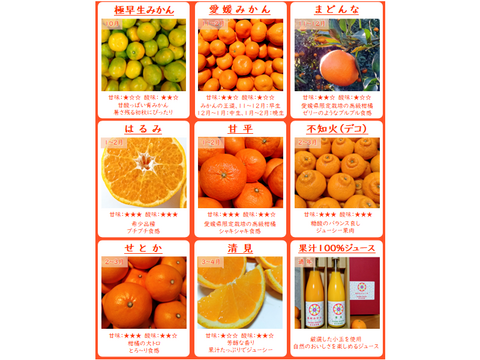 【柑橘食べ比べ】はるみ＋青島みかん 合計3kg《家庭用》