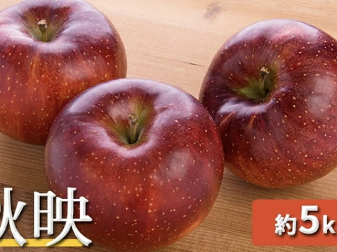 【2024年9月下旬より順次発送】信州名月オバステりんご（贈答用秋映）約5kg