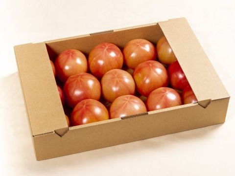 大玉トマト　かれん　約２００g×２０個