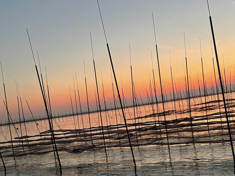 佐賀有明海産海苔【選べる3点セット】八切り64枚×3個