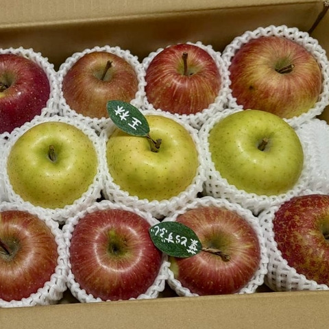 マツコDXさんが絶賛✨【このりんごを嫌いな人はいますか？？】名月 3