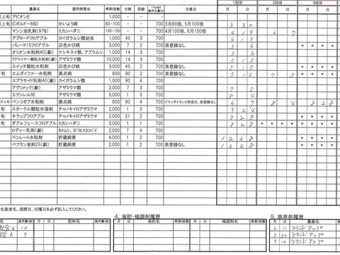 富士山が見える畑で育てた　大粒はるみみかん、完熟ポンカンの食べ比べセット　4.5kg 【柑橘食べ比べ】