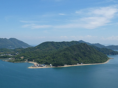 ぽん酢とセット！お試しに　皮まで使える瀬戸内レモン　約８個　M～Lサイズ