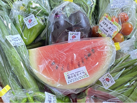 今期最終【自然栽培🍀固定種🍉黒小玉スイカ】3kg台（冷蔵庫サイズ）シャリっと甘くてジューシー（１個）