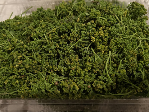 気品ある香り！黄色系が混ざる花山椒100g  （かやぶきの里・
京都・美山産 栽培期間中農薬不使用）