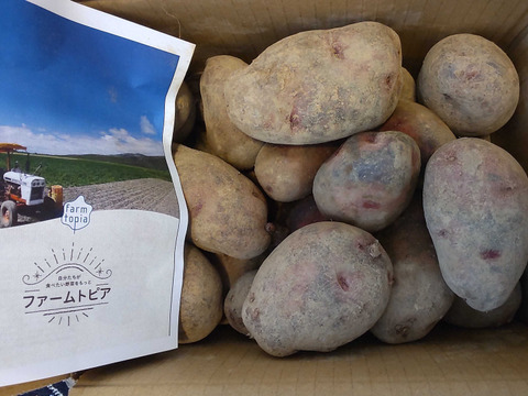 北海道産グランドペチカ5