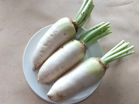 【手間いらず】整い蒸し野菜セット（7~8品目+季節の塩お試しサイズ付き）