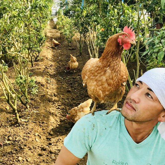 DIEZ  farm