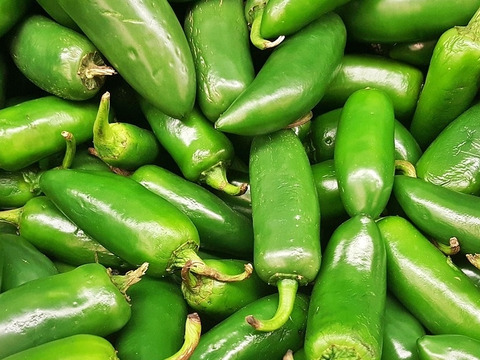 旨辛ピリッ！🌶刺激と香りの最強コンビ🔥ハラペーニョ❌ジャンボにんにくセット🧄自家製サルサ・タコス・BBQにぴったり🌮