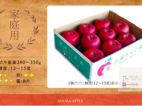 定番の味　THEりんご　家庭用サンふじ（２kg 6個〜8個）