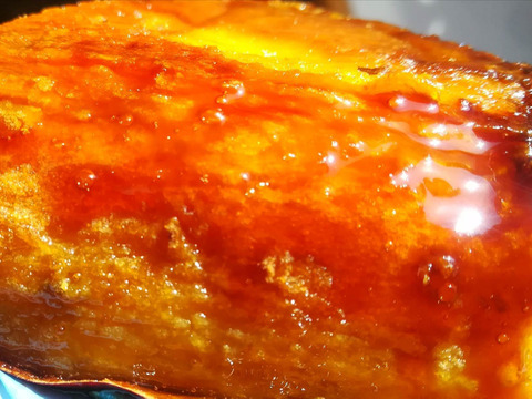 初春限定｜石窯焼き芋1kg＋プレミアム干し芋セット（熟成シルクスイート）