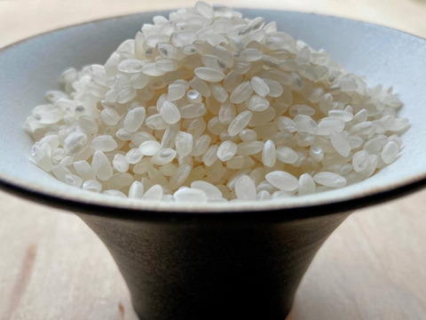 お米グランプリ2025 金賞 記念セット 精米 1.8kg 300g3個 あきたこまち 「大谷米」もっちり甘い 単一農家米100%！