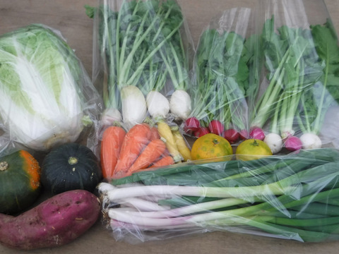 野菜ボックス Mサイズ約8~10品(2~3人用)