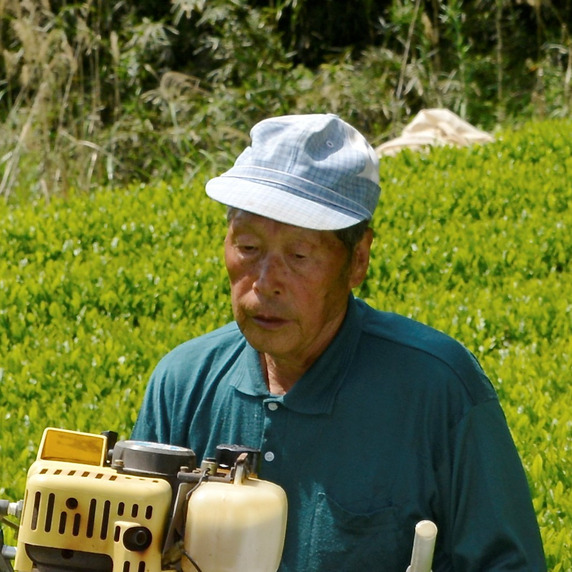 佐藤成緒
