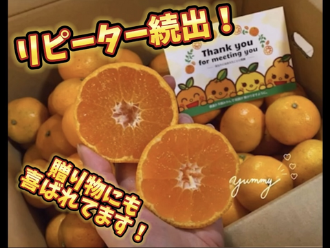 🍊訳あり🍊愛媛県明浜産　温州みかん　　10ｋｇ