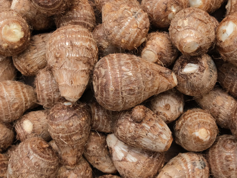 年末限定！多めのお野菜セット〈里芋は必ず1kg入ります！〉