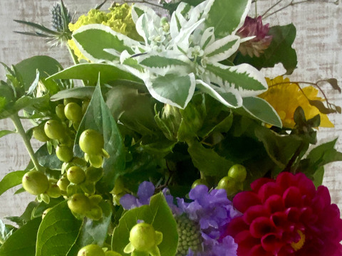 【香川のお花の生産農家より】たっぷりの彩どり、おまかせブーケー（プレゼントにもおすすめ）