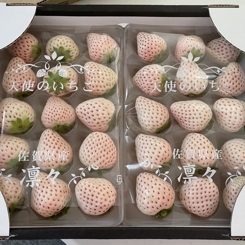 完熟白いちご！天使のいちご®︎（240g✖️2）：佐賀県の投稿｜食べ