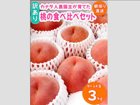 【カナダ人農園主の真心を込めた】【訳あり】”朝採れ新鮮”ももの食べ比べセット約３kg