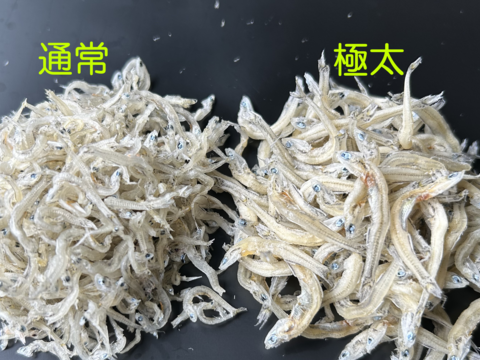 旨味の濃い　倉橋産極太ちりめん　塩分控えめ　１００ｇ お試し、少量