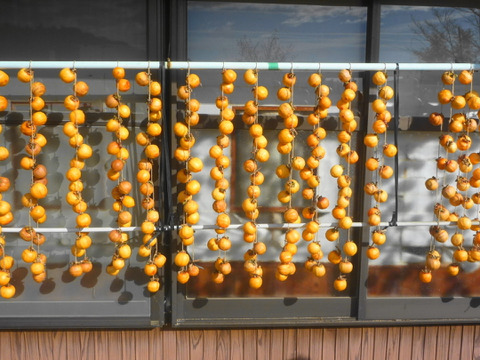 冬をワクワク！干し柿用の柿4ｋ！～農薬/化学肥料・不使用