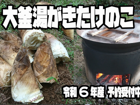 【さんちゃん専用】大釜湯がき筍1.5Kg・穂先（1ｋｇ）きざみ（1ｋｇ）セット