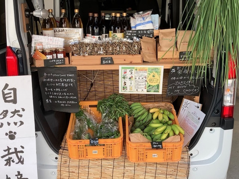 【冬ギフト】甘みと酸味のハーモニー！自然栽培バナナ（そのとき採れてる品種ミックス）10kg