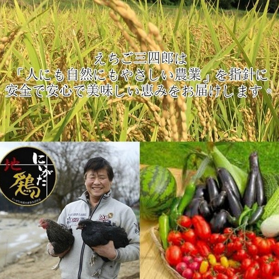 えちご三四郎