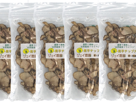 【自然栽培】カラダに良いといわれている『キクイモ』のチップス２㎜厚薄切り×40g(5袋セット)